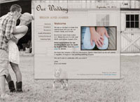 http://brianamberwedding.com/